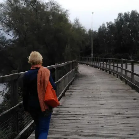 Le Stelline Couette-café